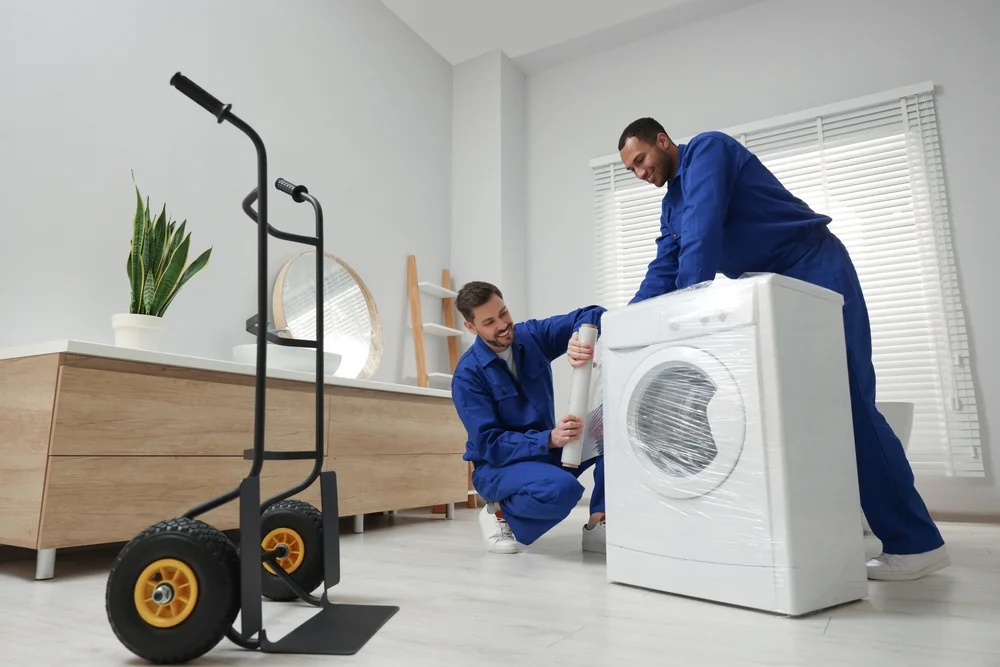 Services Professionnels d'Emballage